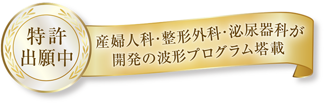 特許出願中